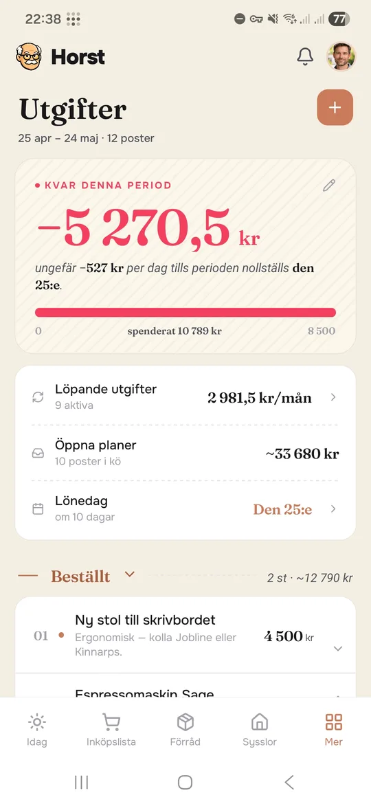 Utgifter i Horst-appen